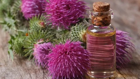 عرق خار مریم و کاسنی تهیه شده از گیاهان خالص
